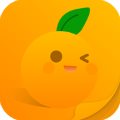 那个app能搜到国外网站