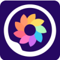 ssr安卓apk